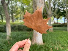 -白塘生态植物园