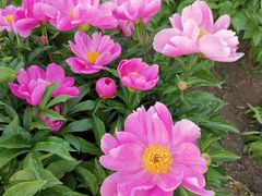 -长春公园(普阳街道)