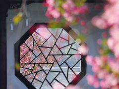 -莫愁湖公园