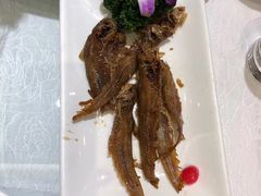 -金米箩大酒店(五角场店)