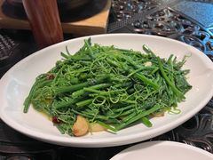 蒜蓉炒丝瓜苗尖-茴香熙楼(翠湖店)