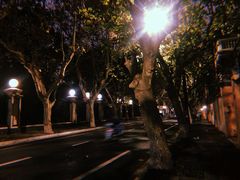 -Ginger(兴国路店)