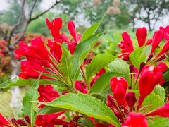 -永定河休闲森林公园