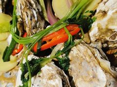 -千岛蚝高压锅生蚝·人参火锅(白云万达店)