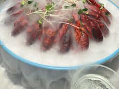 -杨氏青龙虾·羊蝎子(金盛路总店)
