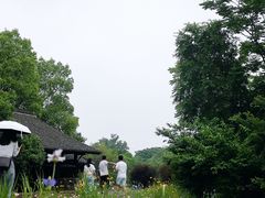 -西溪国家湿地公园