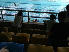 -重庆市奥林匹克体育中心-游泳跳水馆