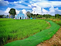 -杭州湾海上花田景区