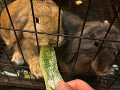 -华冠悠岚·庭院餐厅(青城后山店)