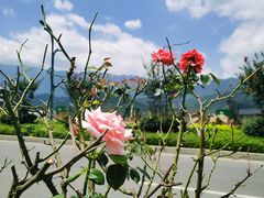 -萍乡武功山风景名胜区