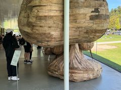 -金泽21世纪美术馆