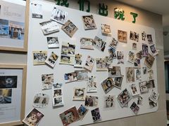 -半岛宠物医院24小时·内窥镜·牙科·碎石中心(府城大道店)