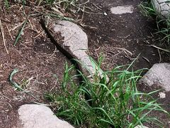 -碓臼峪自然风景区