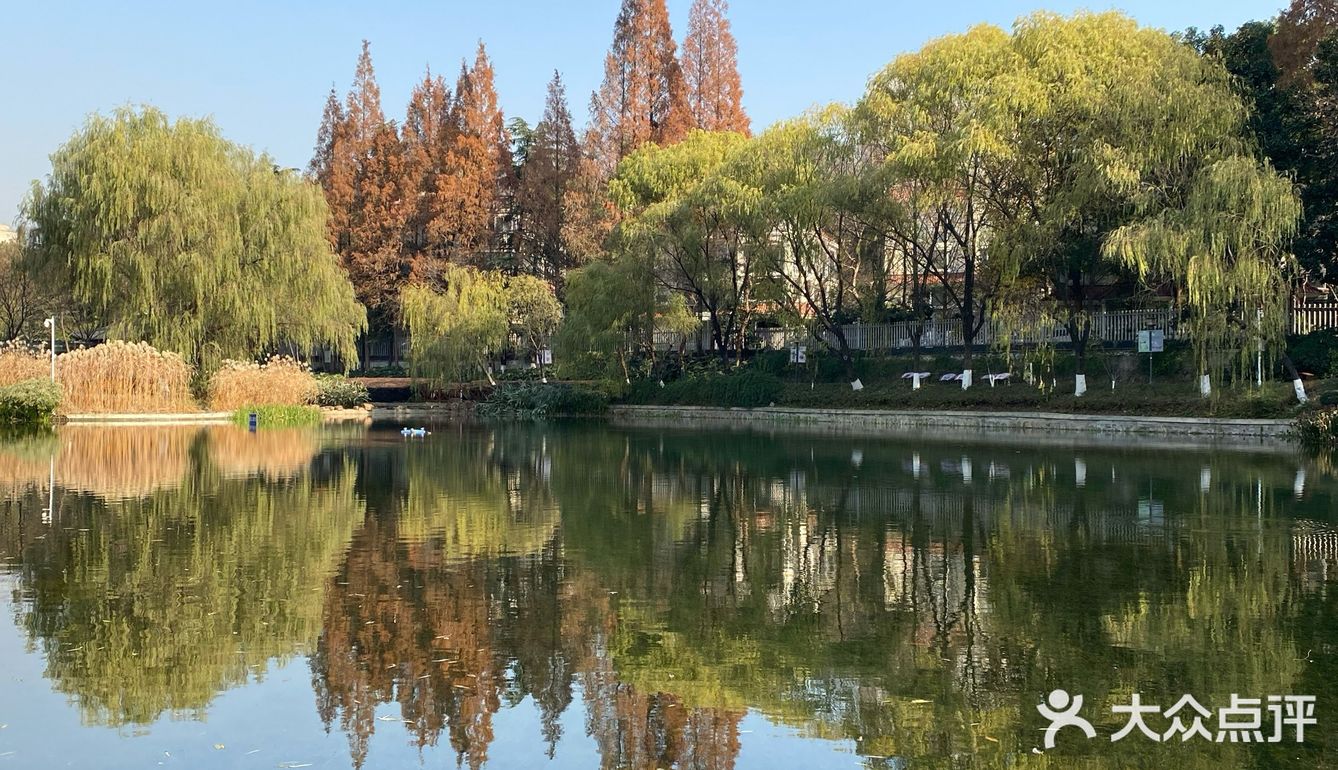 太阳晒在身上暖暖的，眼前景色赏心悦目，感觉岁月静好