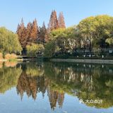 太阳晒在身上暖暖的，眼前景色赏心悦目，感觉岁月静好