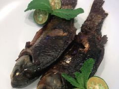 -紫光园·烤鸭·北京菜(劲松店)