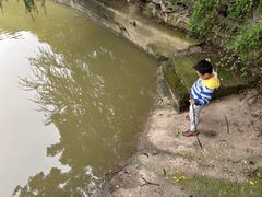 -棕榈岛海鲜自助餐厅(虹桥迎宾馆店)