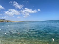-青海湖国家重点风景名胜区