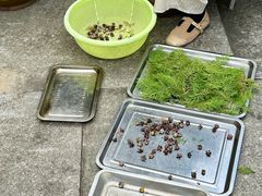 -东天目山风景区