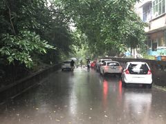 -西南大学（北碚校区）恒温游泳馆