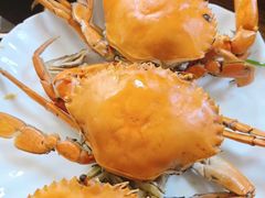 -杨记海鲜楼(三门黑金冠店)