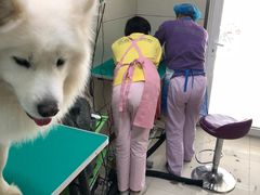 -北京观赏动物医院·24小时大型综合·猫专科·异宠专科