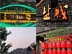 -盐城丹顶鹤湿地生态旅游区