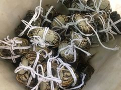 -黄记大闸蟹专卖店·活蟹·醉蟹