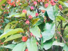 -北京国家会计学院