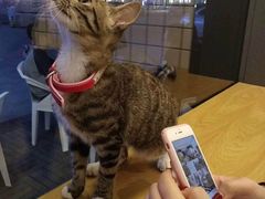 -面包和茶(万联店)