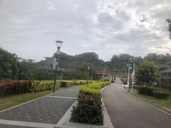 -立新湖公园
