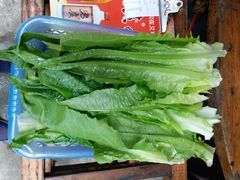 -章记正宗南岗鱼蛋火锅