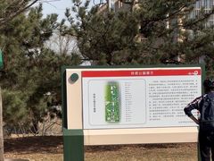 -玲珑塔公园