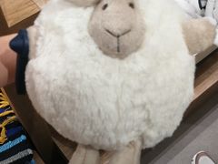 -杨翔豆皮涮牛肚(华阳城店)