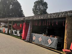 -秀丽东方
