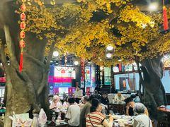 -松针蔡记蒸饺(花园路店)
