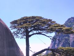 -黄山风景区