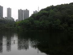 -重庆彩云湖湿地公园