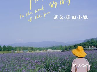 武义·花田小镇 | Hi·最艺术的花田