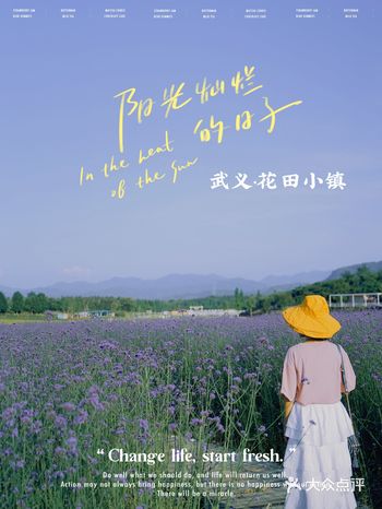 武义·花田小镇 | Hi·最艺术的花田
