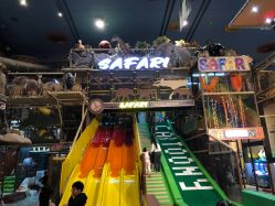 -卡通尼·Safari非洲探索乐园·生日会(金桥国际商业广场店)