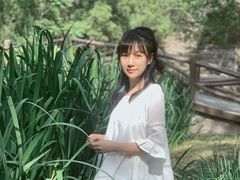 -白水寺森林公园
