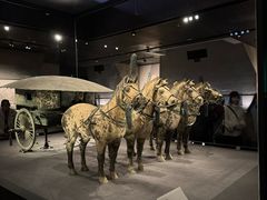 -秦始皇帝陵博物院-丽山园