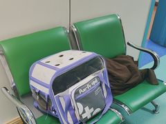 -北京观赏动物医院·24小时大型综合·猫专科·异宠专科