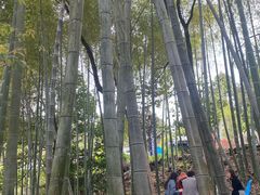 -金水泊山庄·花椒鸡(铁山坪店)
