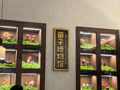 -菌自由丨野生菌火锅特色庭院餐厅(丽江古城店)