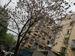 -巧云大馄饨(南阴阳营总店)