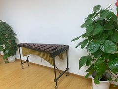 -音歆国艺馆·民乐培训(双榆树店)