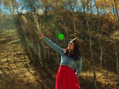 -塞罕坝国家级自然保护区