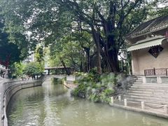 -荔湾湖公园